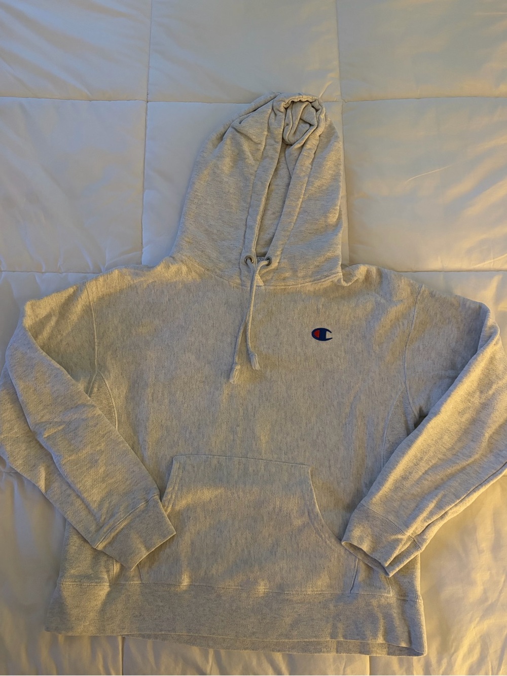 Champion Light Gray Crewneck Hoodie with Small Logo